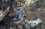 photo thumbnail #8