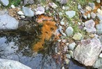 photo thumbnail #9