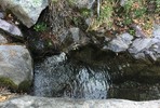 photo thumbnail #10