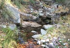 photo thumbnail #11