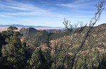 photo thumbnail #15