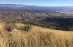 photo thumbnail #10