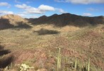 photo thumbnail #5