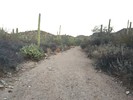 photo thumbnail #8