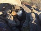 photo thumbnail #15