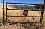 photo thumbnail #15