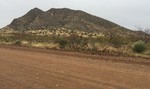 photo thumbnail #2