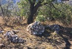 photo thumbnail #9