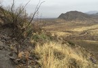 photo thumbnail #7