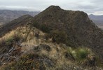 photo thumbnail #11