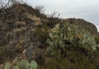 photo thumbnail #13