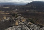 photo thumbnail #13