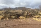 photo thumbnail #4