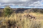 photo thumbnail #11