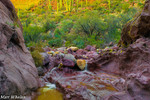 photo thumbnail #5