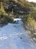 photo thumbnail #11