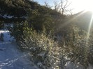 photo thumbnail #12