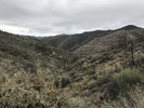 photo thumbnail #1