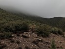 photo thumbnail #14