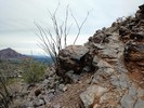 photo thumbnail #1