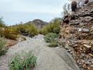 photo thumbnail #11