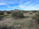 photo thumbnail #2
