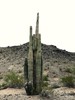 photo thumbnail #6