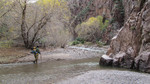 photo thumbnail #7
