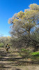 photo thumbnail #10