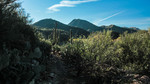 photo thumbnail #13