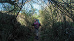 photo thumbnail #14
