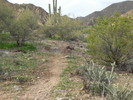 photo thumbnail #12
