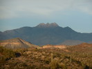 photo thumbnail #15