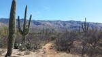 photo thumbnail #6