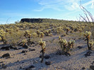 2017-01-06 :1: Saddle Benchmark-Gila Bend Mountains :: FLYING_FLIVER