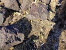 photo thumbnail #15
