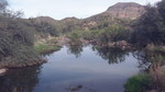photo thumbnail #14
