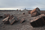 photo thumbnail #4