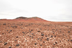 photo thumbnail #14