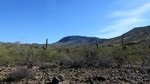 photo thumbnail #11