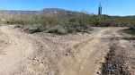 photo thumbnail #12