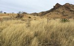 photo thumbnail #12