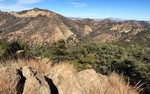 photo thumbnail #4