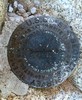 photo thumbnail #12
