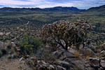 photo thumbnail #6