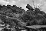photo thumbnail #12