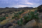 photo thumbnail #14