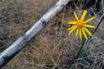 photo thumbnail #15