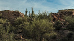 photo thumbnail #1