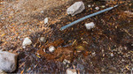 photo thumbnail #12